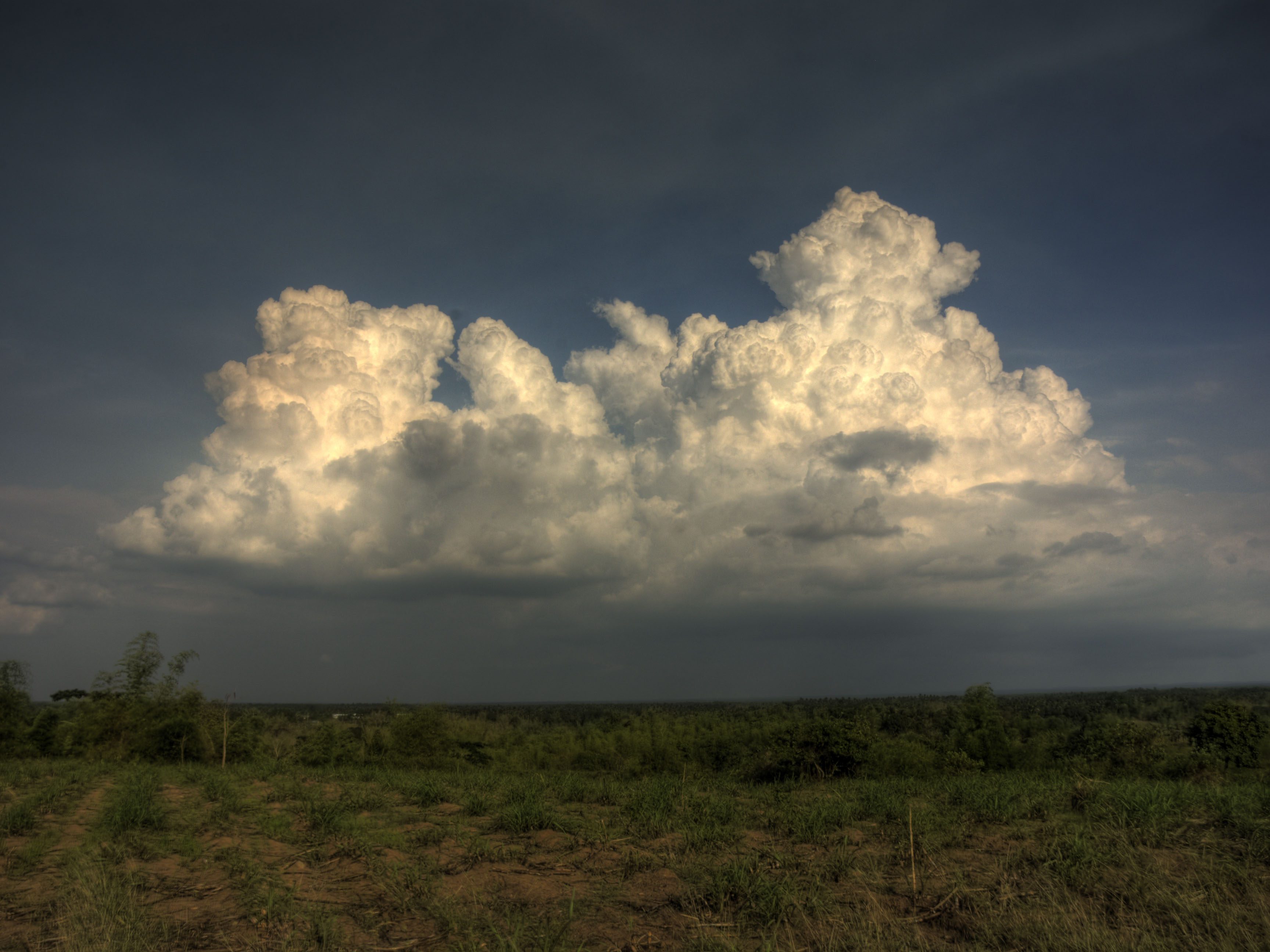 HRCompleteManager - Employee Management Software